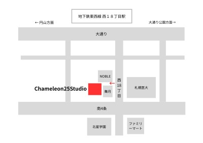 Chameleon25studio