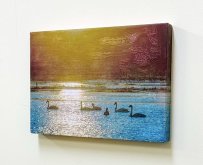 CABEB393-EC28-4F1E-A4A7-FF83AF31AA1D